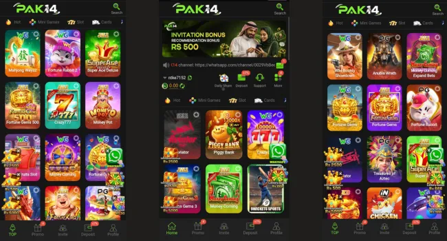 PAK14 Game Download