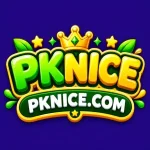 PKNICE Game Free Download Official App